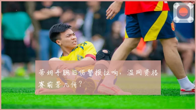 蒂姆手腕旧伤警报拉响,温网资格赛前景几何?