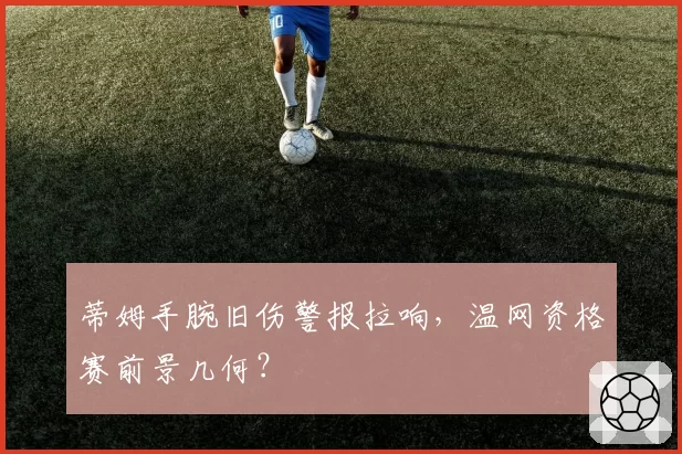 蒂姆手腕旧伤警报拉响,温网资格赛前景几何?